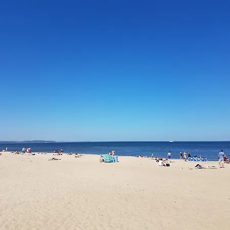 Wsrod Drzew 格但斯克